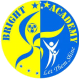 Bright Stars logo