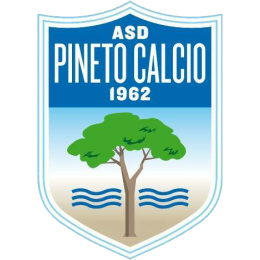 Pineto logo