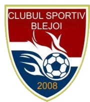 Blejoi logo