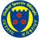 Olimpic Cetate logo
