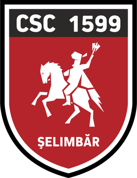 Viitorul Selimbar logo