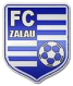 SCM Zalau logo