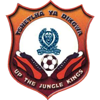 Police XI logo