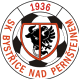 Bystrice nad Pernstejnem logo