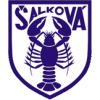 Salkova logo