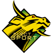 Elect-Sport logo