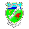 Pontardawe logo