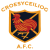 Croesyceiliog logo