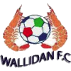 Wallidan logo