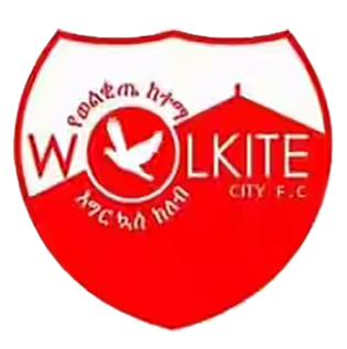 Wolkite Ketema logo