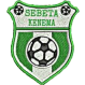 Sebeta Kenema logo