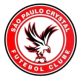 Sao Paulo Crystal logo