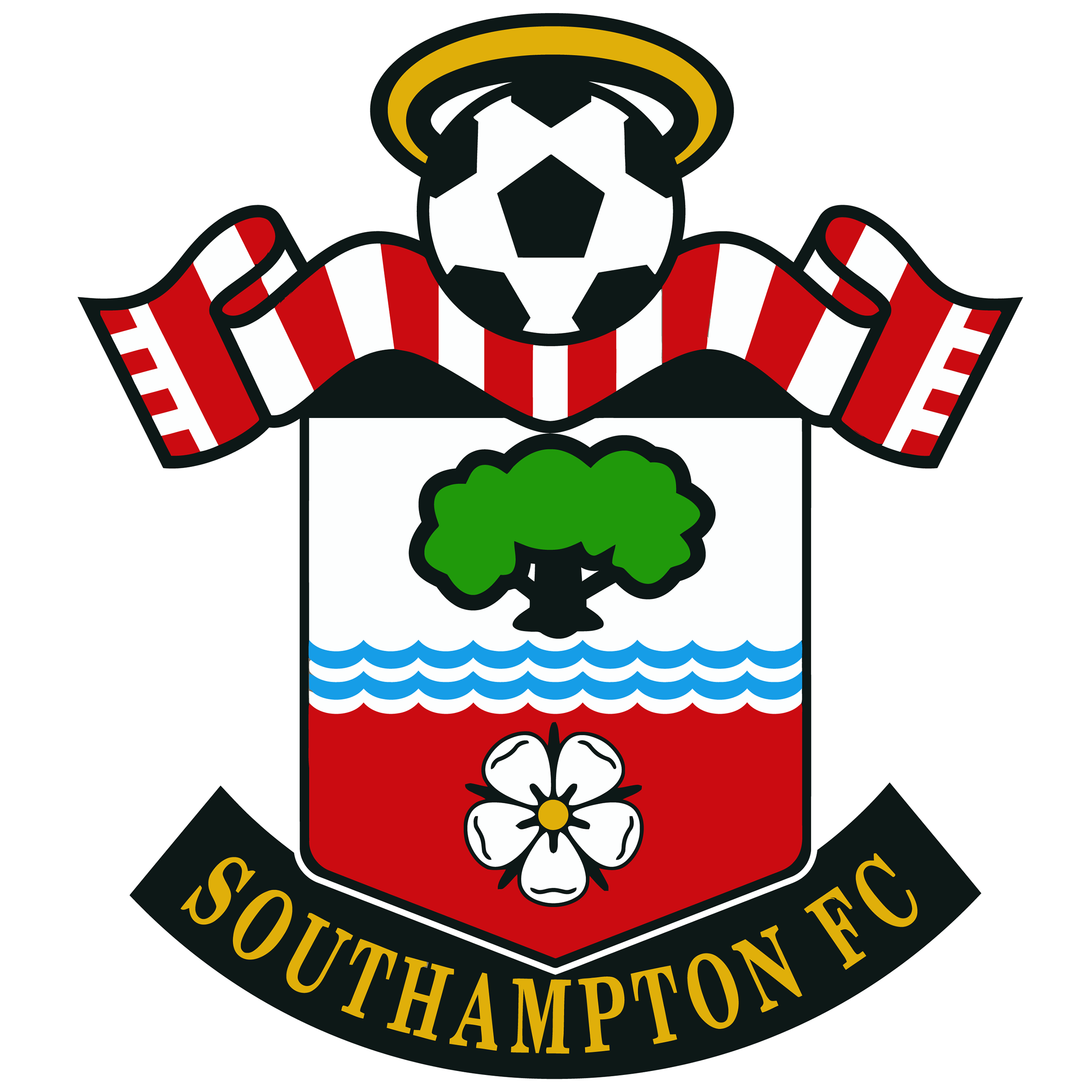 Southampton W logo