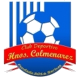Inter de Barinas logo