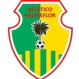 Atletico Palmaflor logo