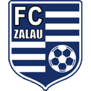 FC Zalau logo