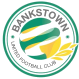 Bankstown United logo
