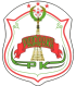 FC Ruzaevka logo