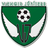 Vaengirs logo