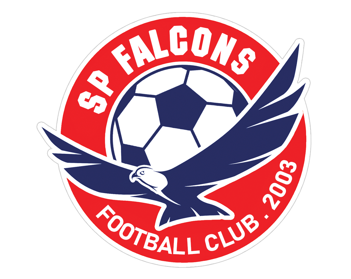 Falcons logo