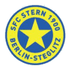 Stern logo