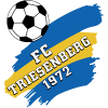 Triesenberg logo