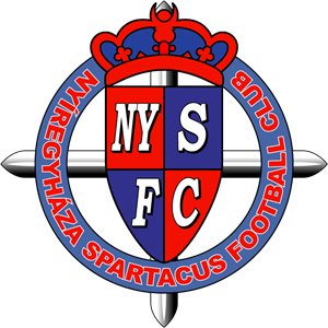 Nyiregyhaza U-19 logo