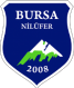 Karacabey Belediyespor logo