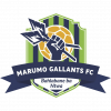 Marumo Gallants logo