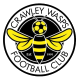 Crawley Wasps W logo