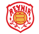 Reynir logo