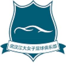 Wuhan Jiangda W logo