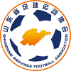 Shandong SL W logo