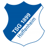 Hoffenheim-2 W logo