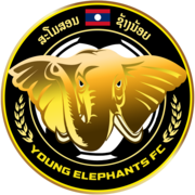 Young Elephant logo