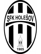 Holesov logo