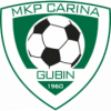 Carina Gubin logo