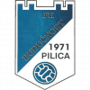 Buducnost Pilica logo