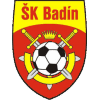 Badin logo