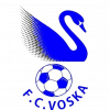 Voska Sport logo