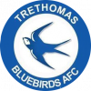 Trethomas Bluebirds logo