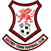 Saltney Town logo