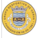 Cerva logo