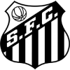 Santos-2 logo