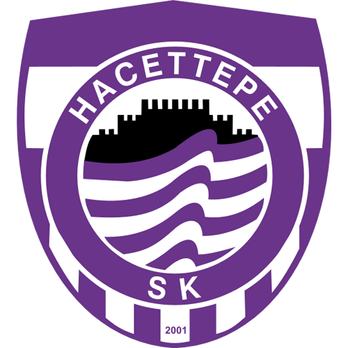 Hacettepe logo