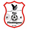 Sua Flamingoes logo
