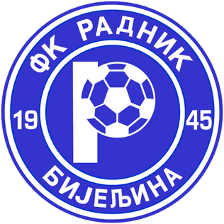 Radnik logo