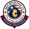 BEA Mountain logo