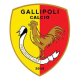 Gallipoli logo