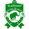 Elephant Coleah logo